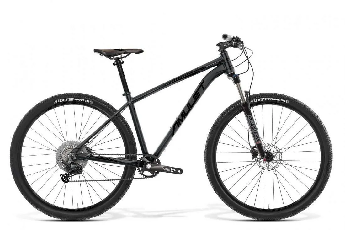 4. Amulet 29 Rival 2.0 (L)
